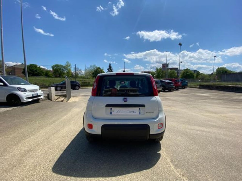 Fiat Panda usata a Firenze (3)