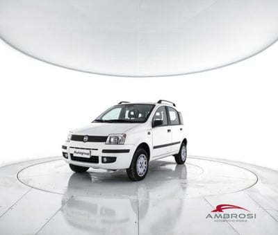 Fiat Panda 1.2 4x4 del 2006 usata a Corciano