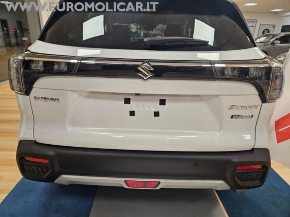 Suzuki S-Cross nuova a Campobasso (17)