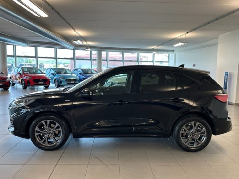 Ford Kuga usata a Cuneo (4)