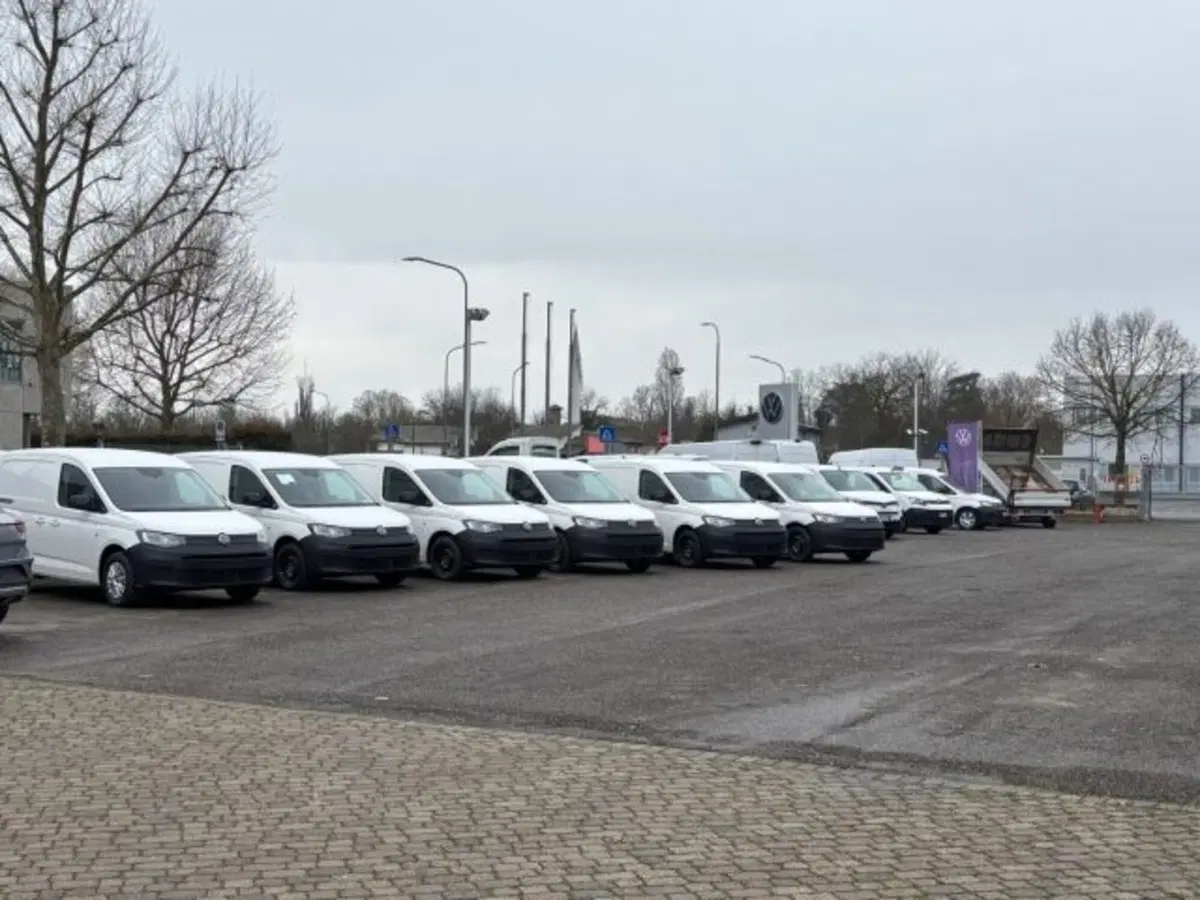 Volkswagen Veicoli Commerciali Caddy nuova a Cuneo (6)