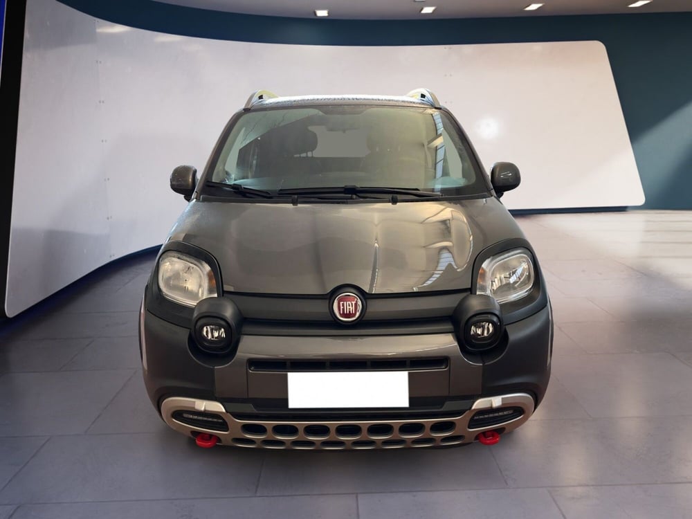 Fiat Panda Cross usata a Torino