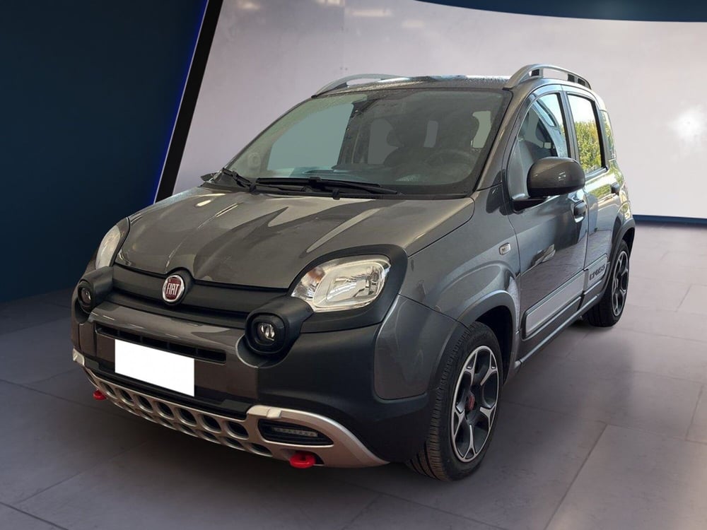 Fiat Panda Cross usata a Torino (2)