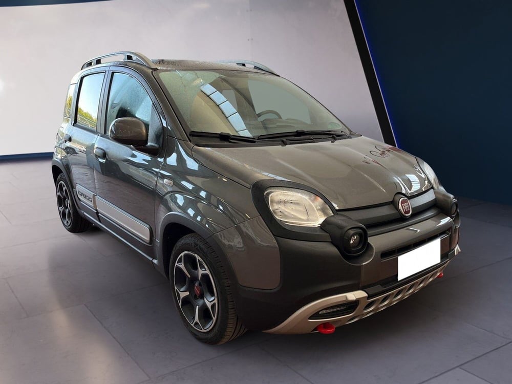 Fiat Panda Cross usata a Torino (3)