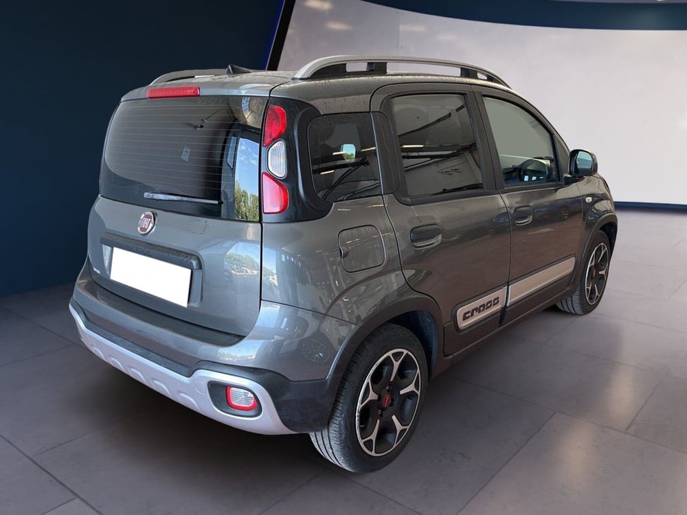 Fiat Panda Cross usata a Torino (4)