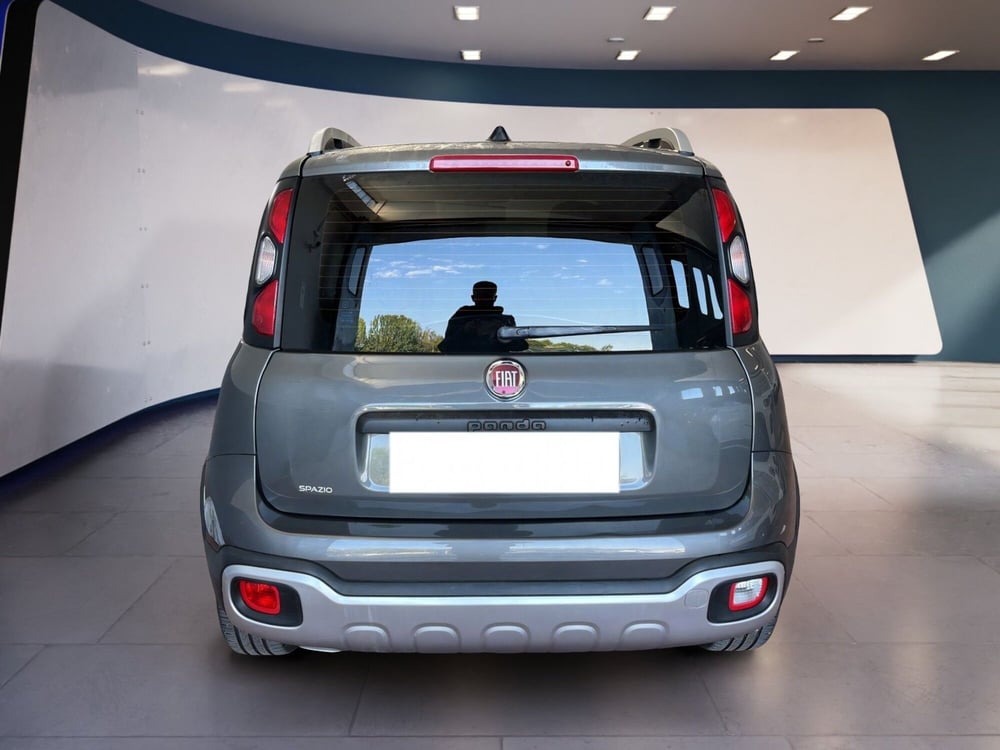 Fiat Panda Cross usata a Torino (6)