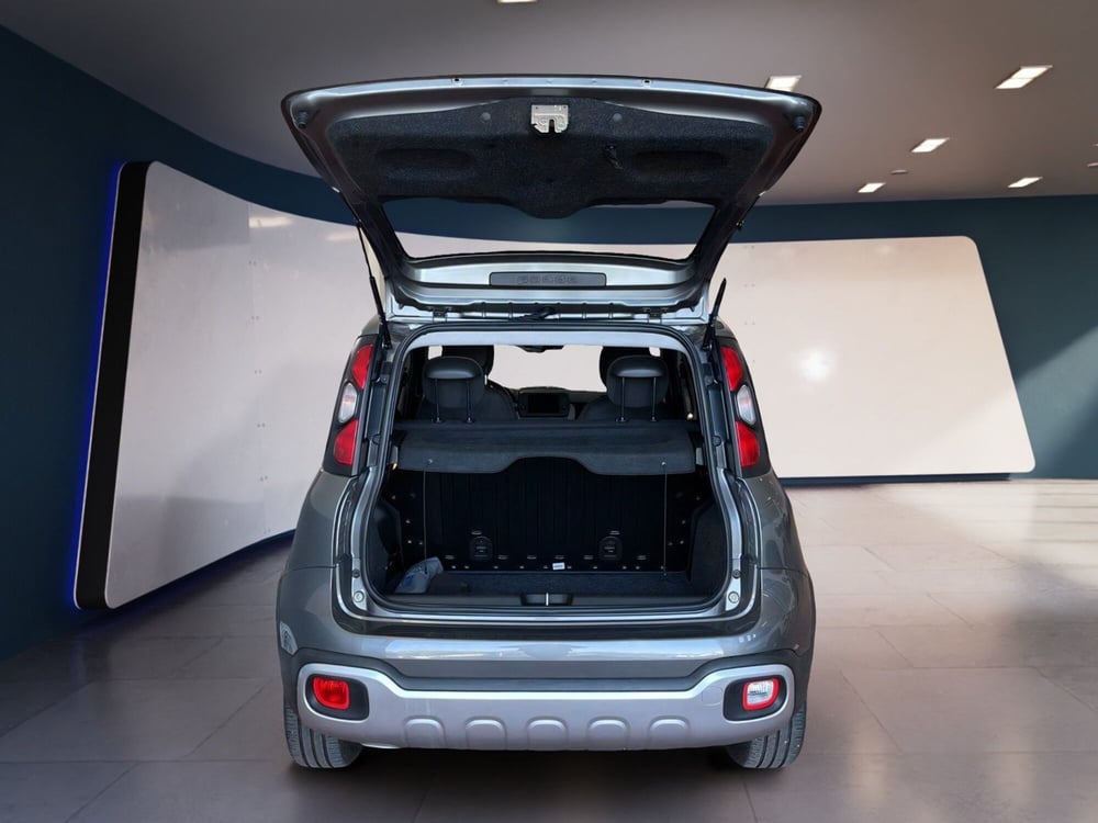 Fiat Panda Cross usata a Torino (7)