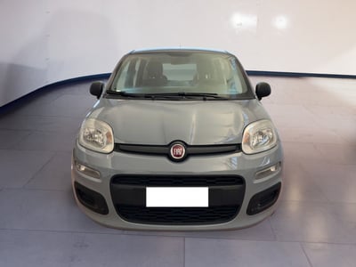 Fiat Panda 1.2 EasyPower Easy del 2019 usata a Torino
