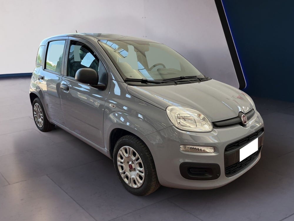 Fiat Panda usata a Torino (3)