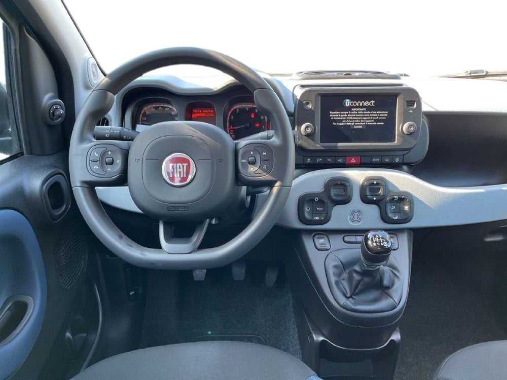 Fiat Panda Cross usata a Torino (11)