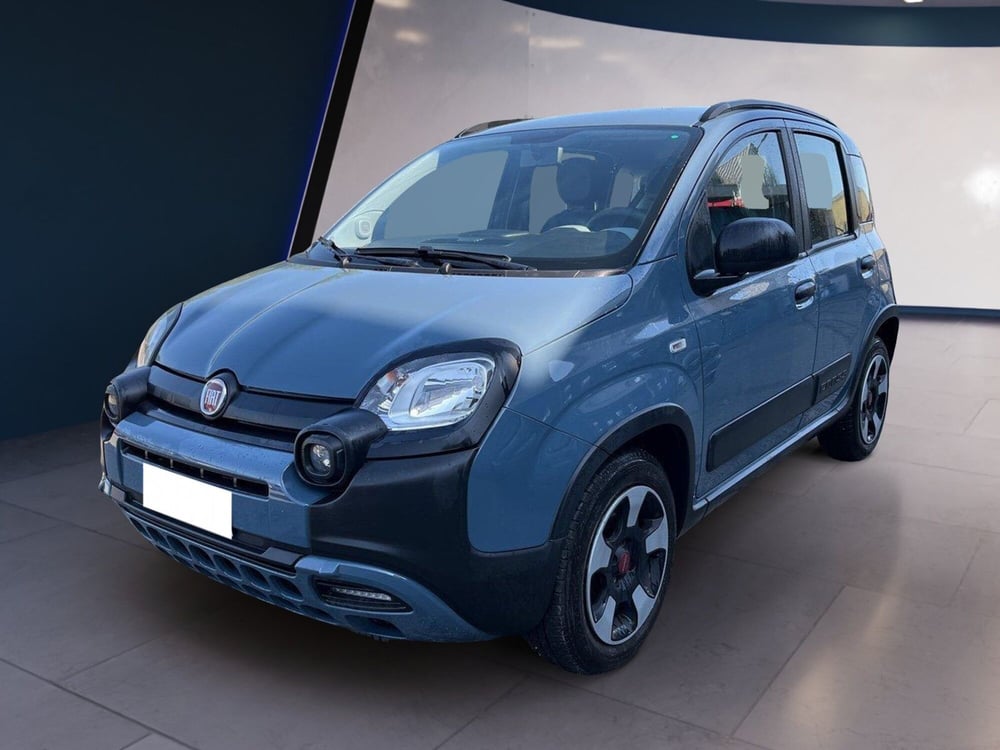 Fiat Panda Cross usata a Torino (2)