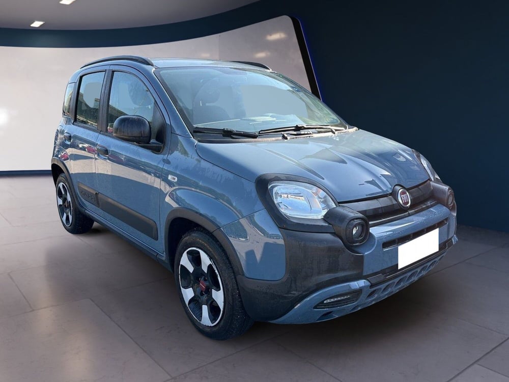 Fiat Panda Cross usata a Torino (3)