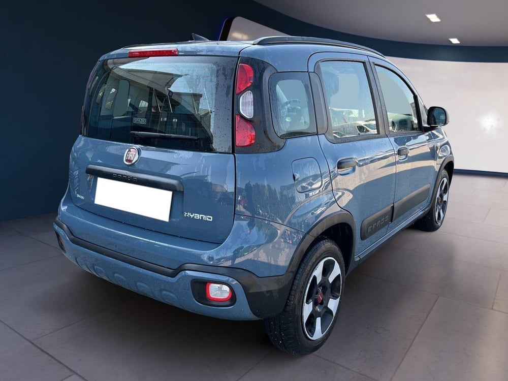 Fiat Panda Cross usata a Torino (4)