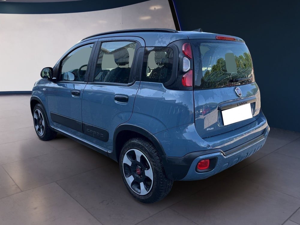 Fiat Panda Cross usata a Torino (5)