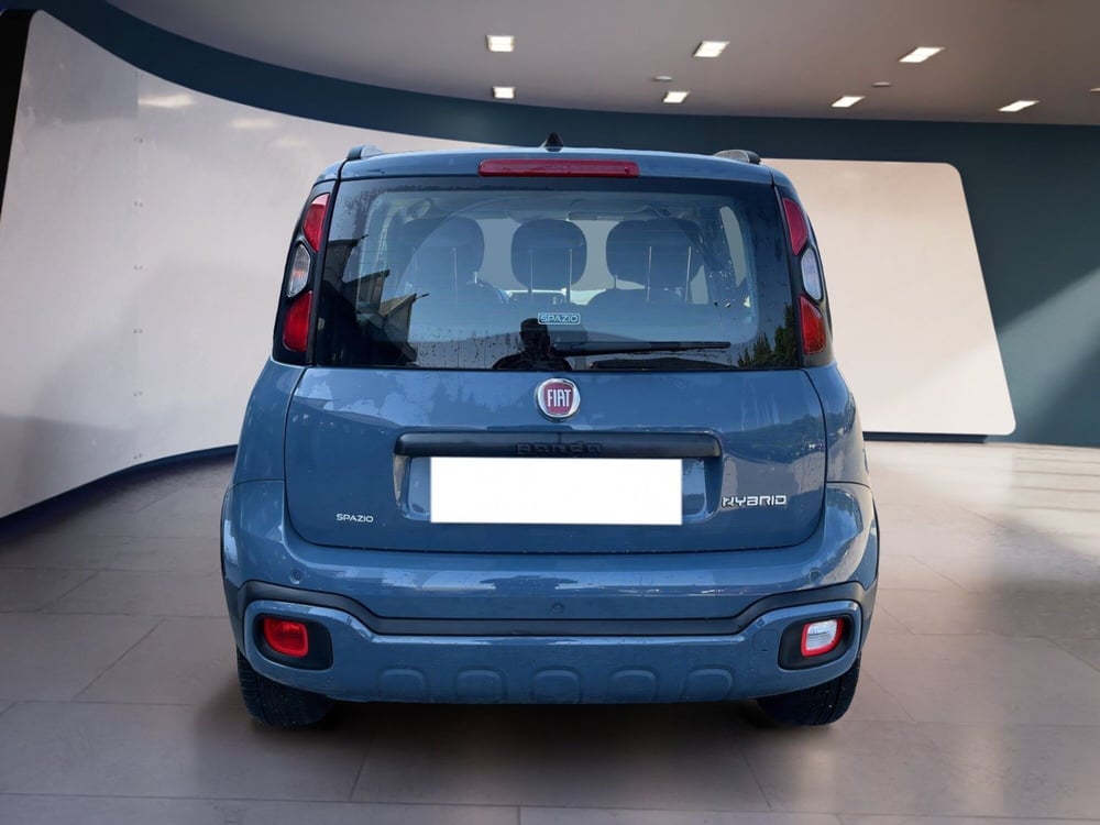 Fiat Panda Cross usata a Torino (6)