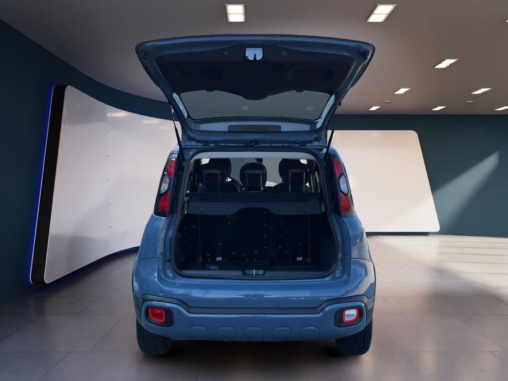 Fiat Panda Cross usata a Torino (7)