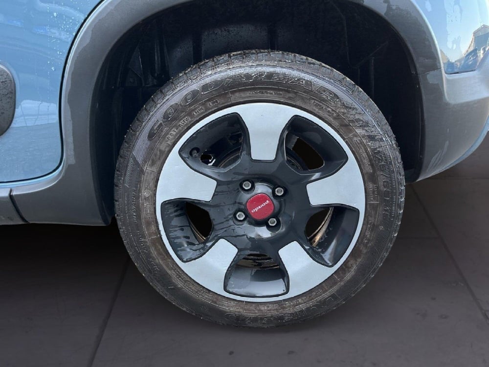 Fiat Panda Cross usata a Torino (8)