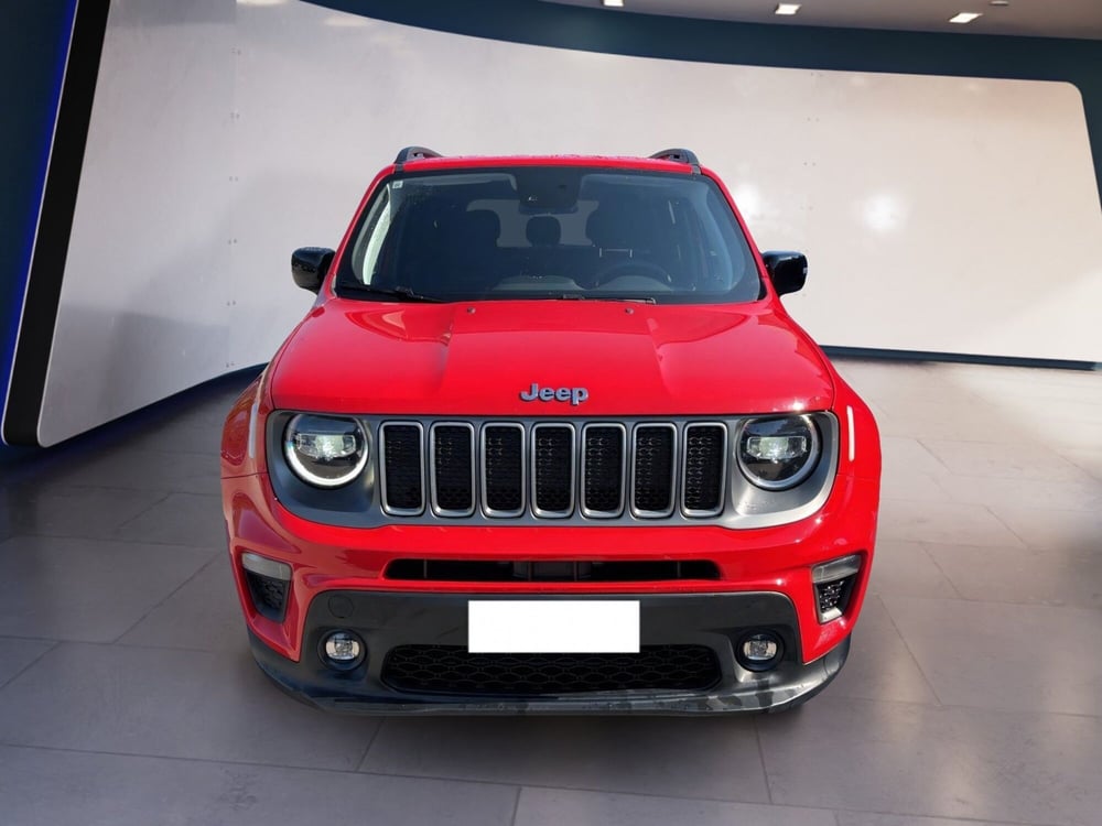 Jeep Renegade usata a Torino