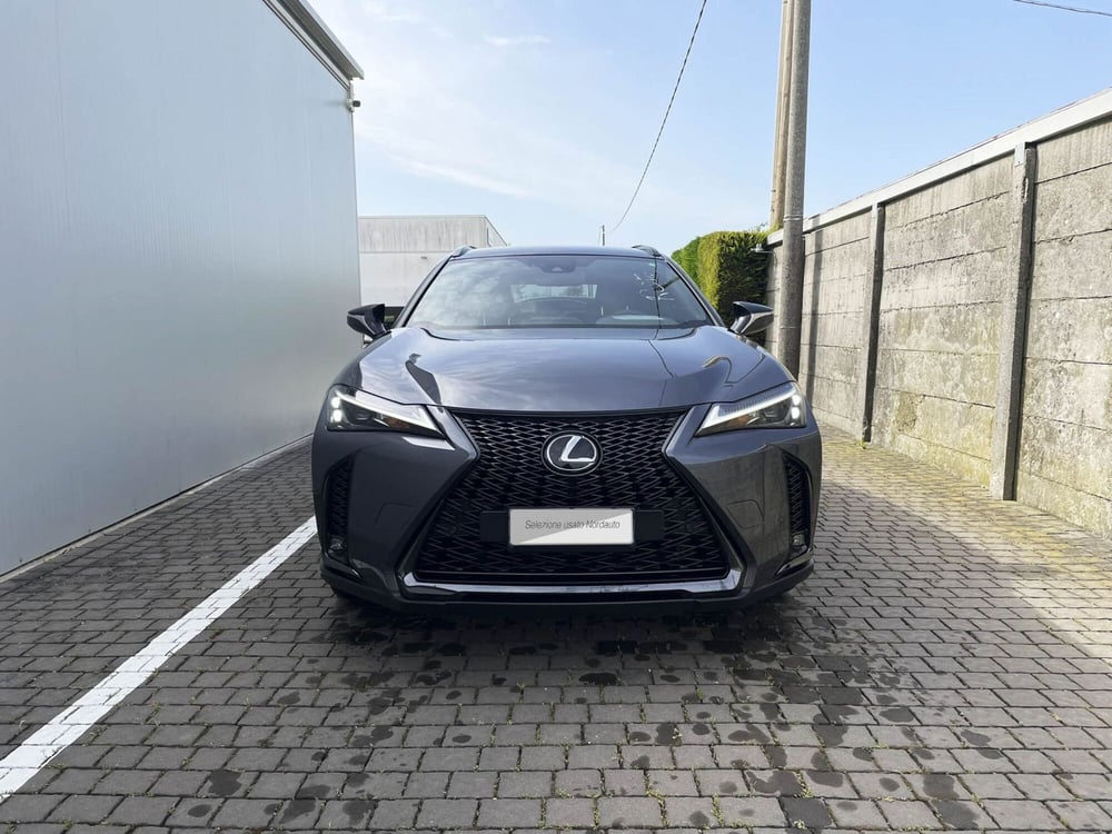 Lexus UX usata a Treviso (2)