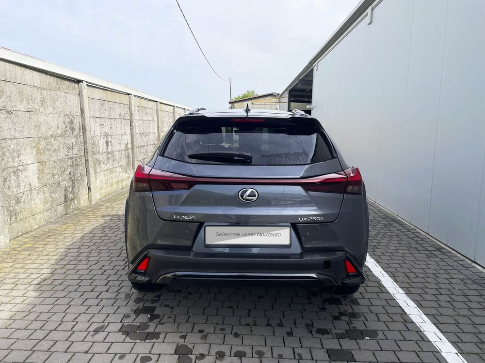 Lexus UX usata a Treviso (6)