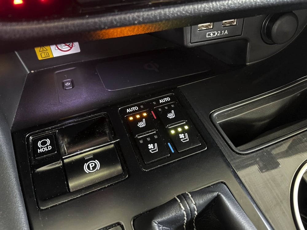 Lexus RX usata a Treviso (15)
