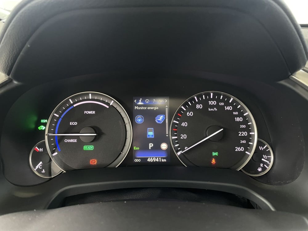 Lexus RX usata a Treviso (16)