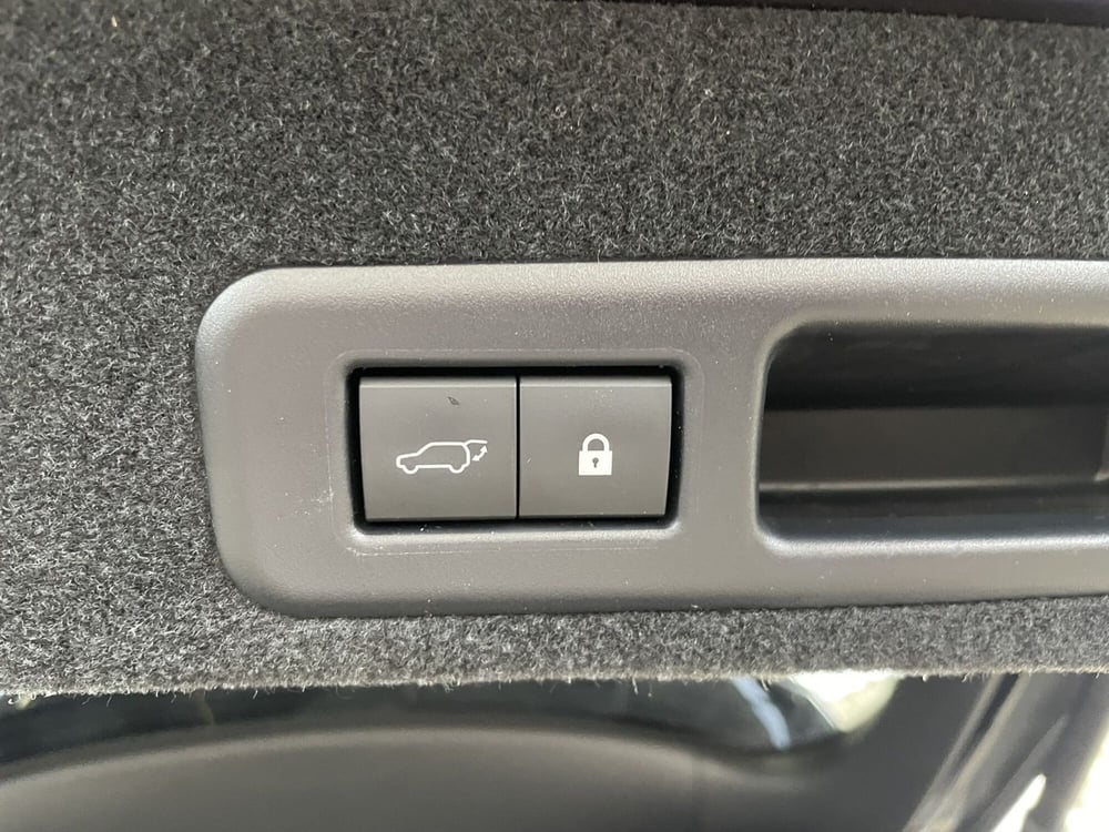 Lexus RX usata a Treviso (18)