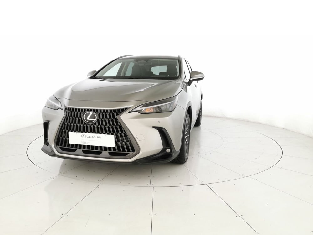Lexus NX usata a Chieti