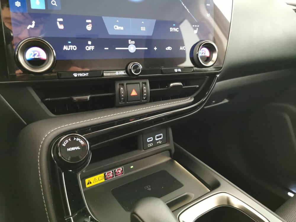Lexus NX usata a Chieti (14)