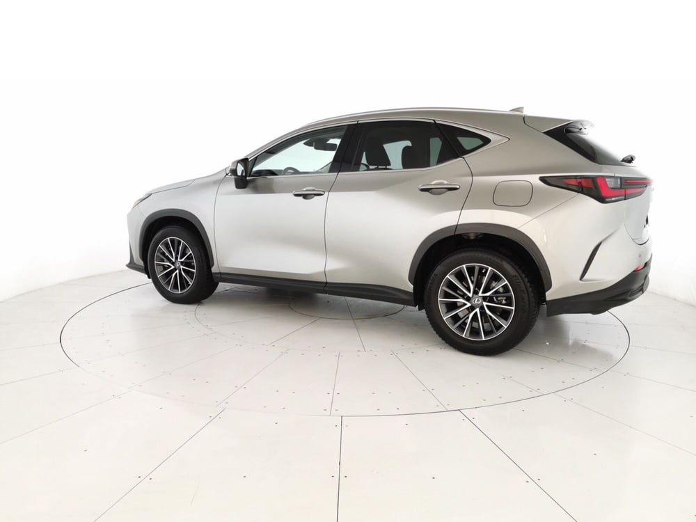 Lexus NX usata a Chieti (2)