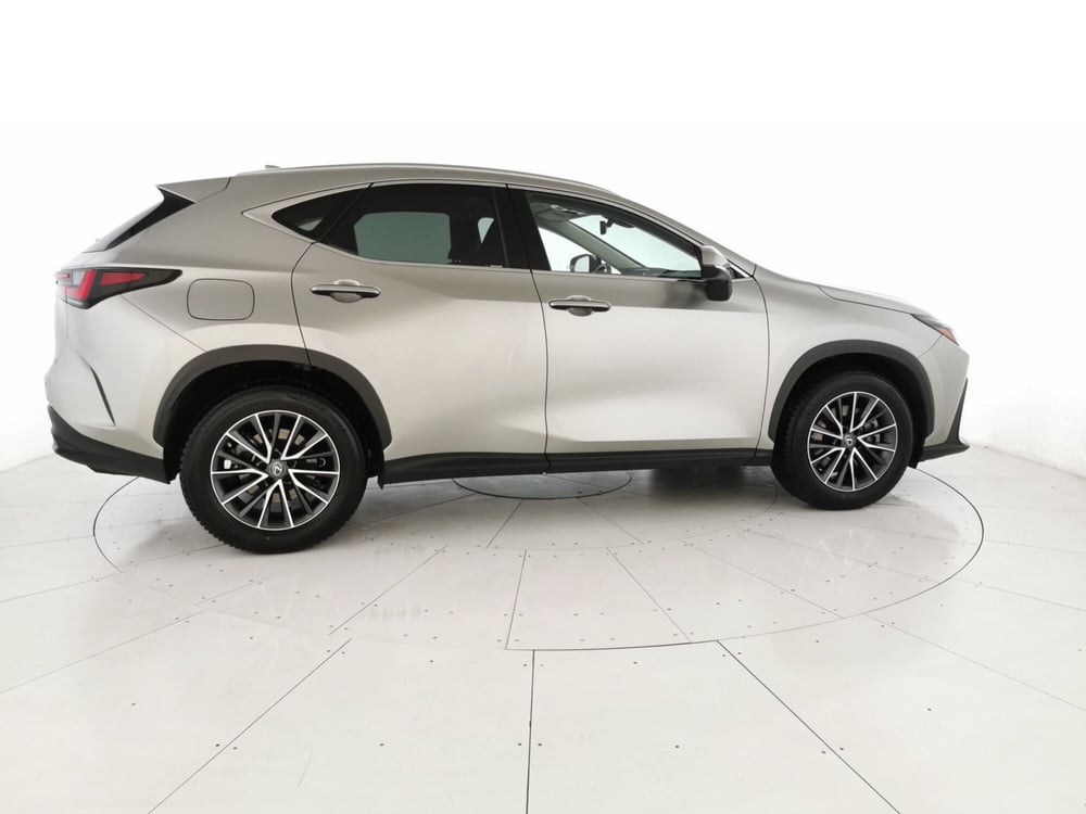 Lexus NX usata a Chieti (3)