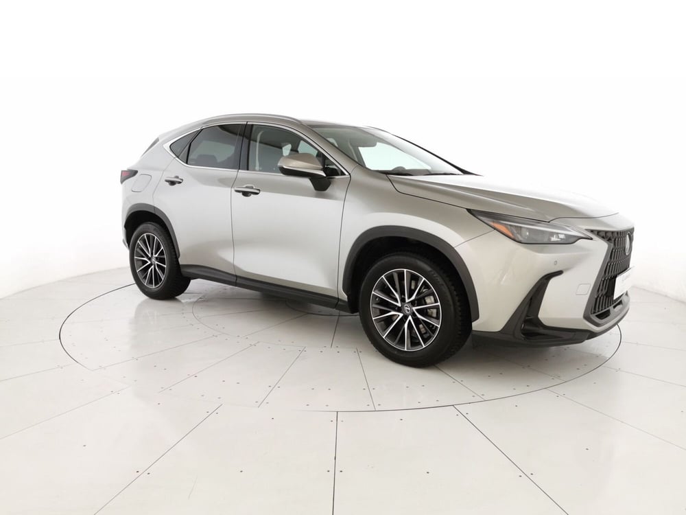 Lexus NX usata a Chieti (4)