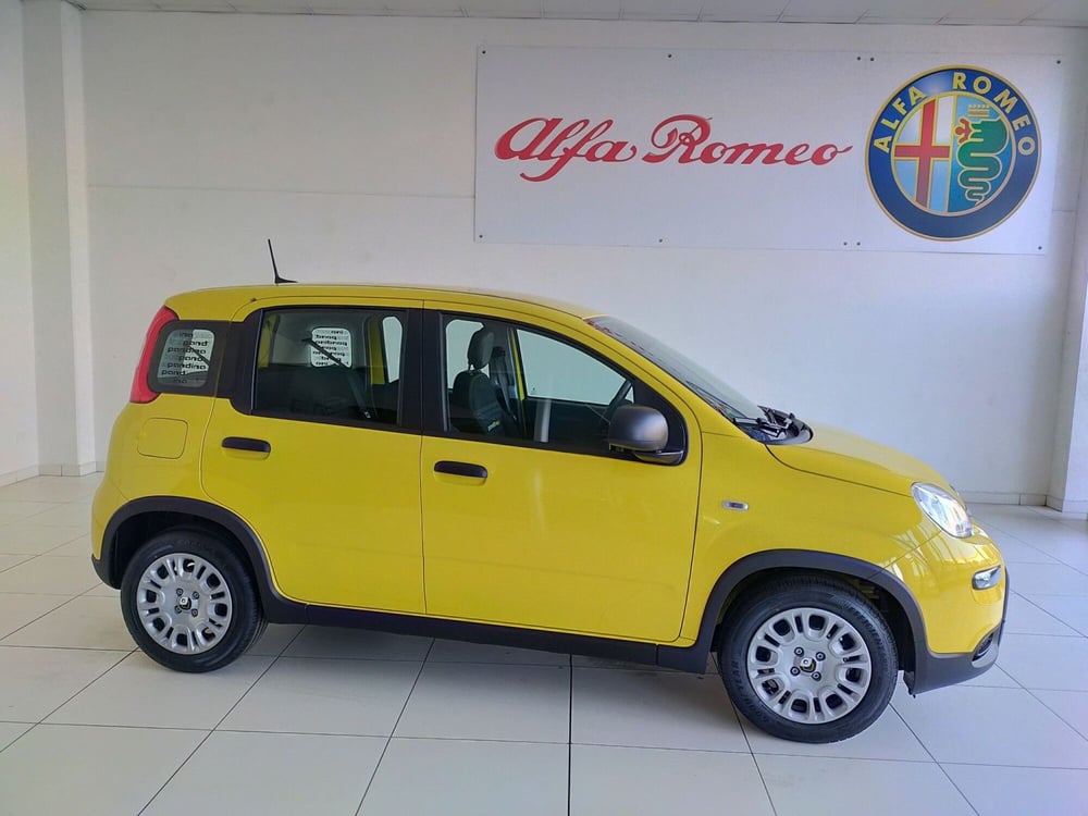 Fiat Panda Cross nuova a Reggio Emilia (4)