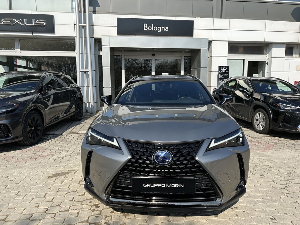 Lexus UX usata a Bologna (3)