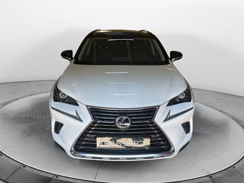 Lexus NX usata a Bologna