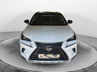 Lexus NX Hybrid 4WD Premium del 2021 usata a San Lazzaro di Savena