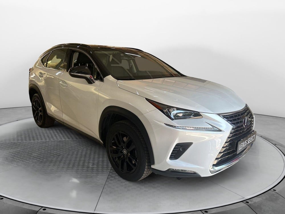 Lexus NX usata a Bologna (3)