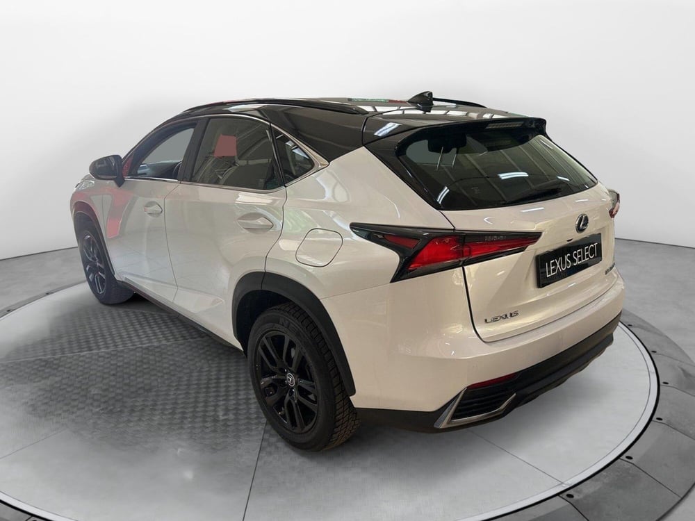 Lexus NX usata a Bologna (4)