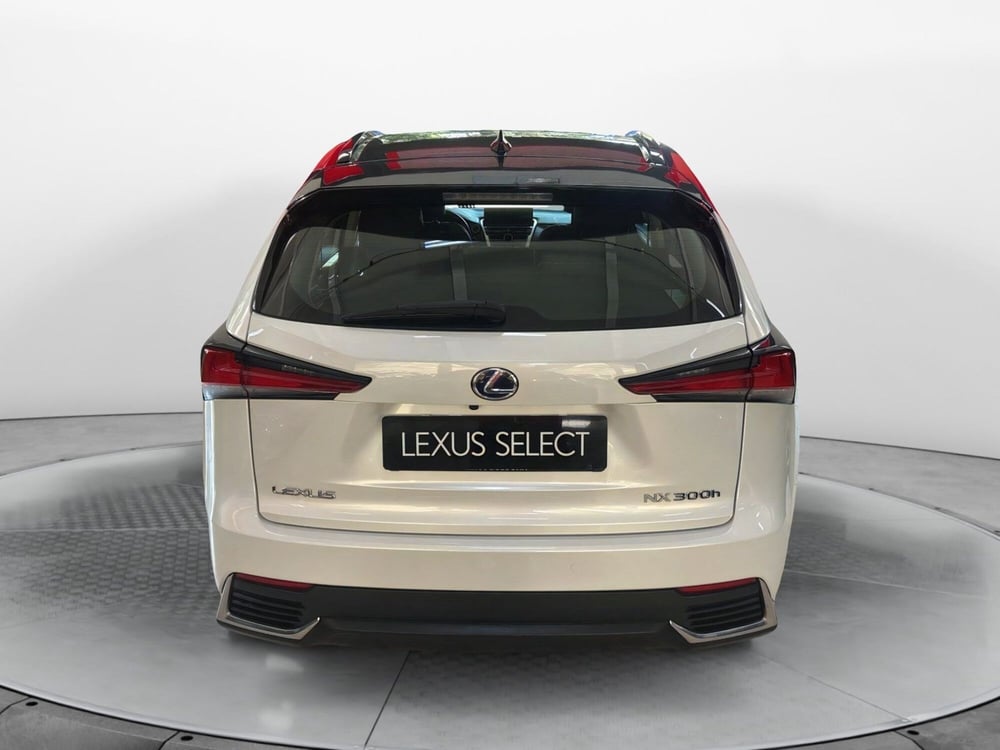 Lexus NX usata a Bologna (6)