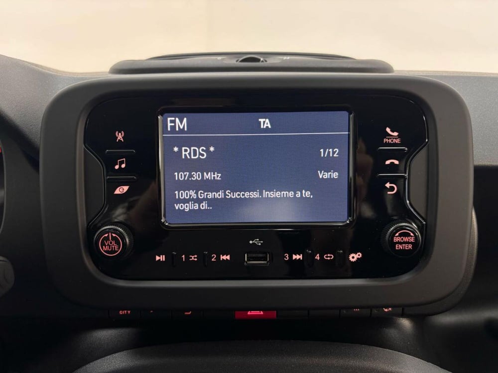 Fiat Panda Cross usata a Como (12)