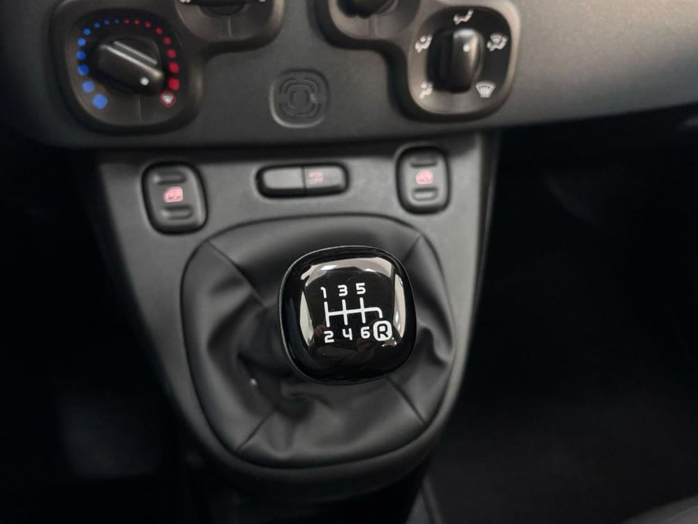 Fiat Panda Cross usata a Como (15)