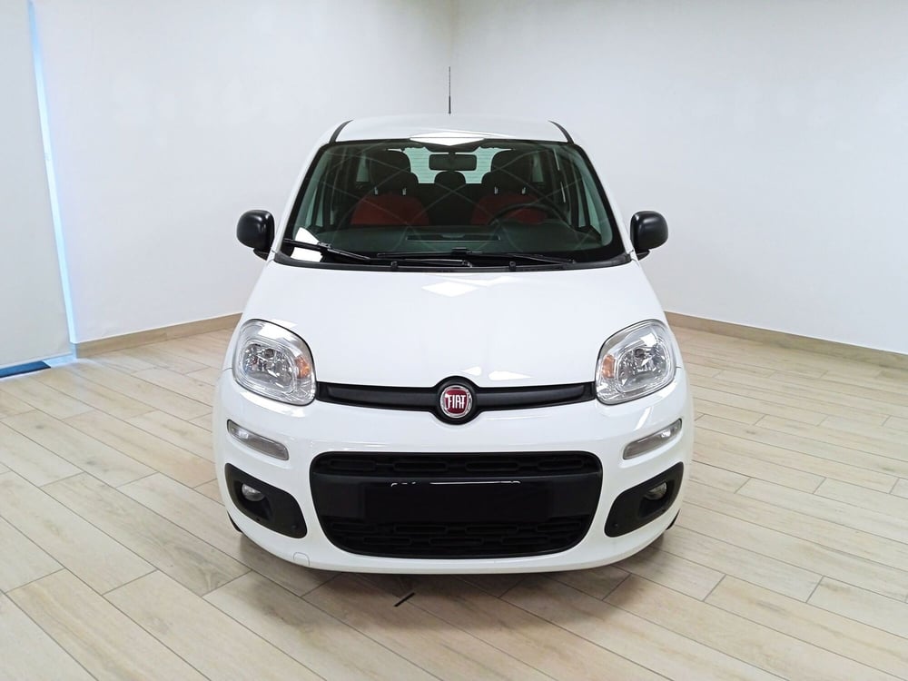 Fiat Panda usata a Torino (2)