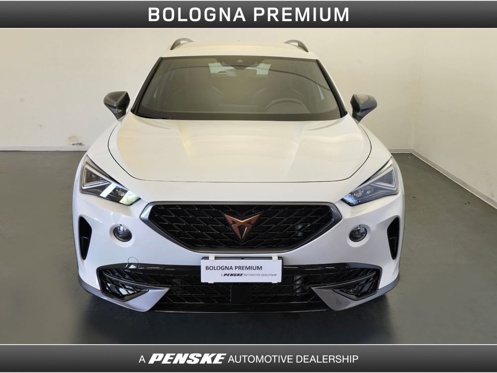Cupra Formentor usata a Bologna (7)