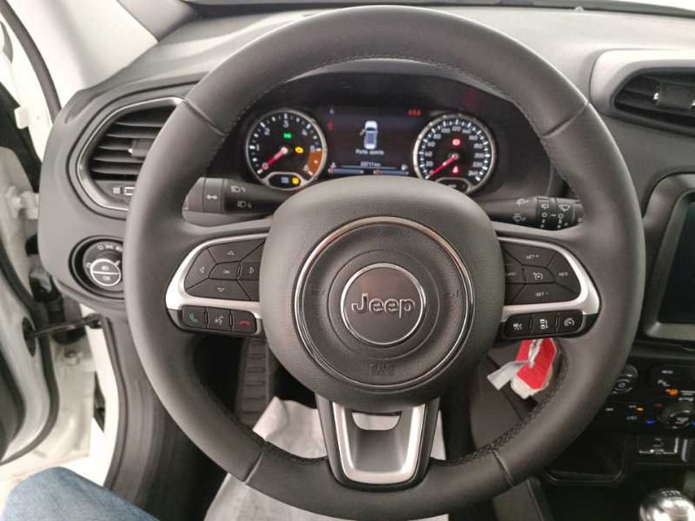 Jeep Renegade usata a Treviso (14)