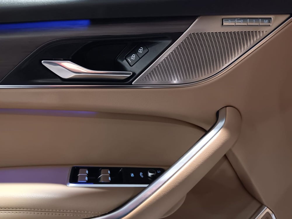 Jaguar F-Pace usata a Asti (15)