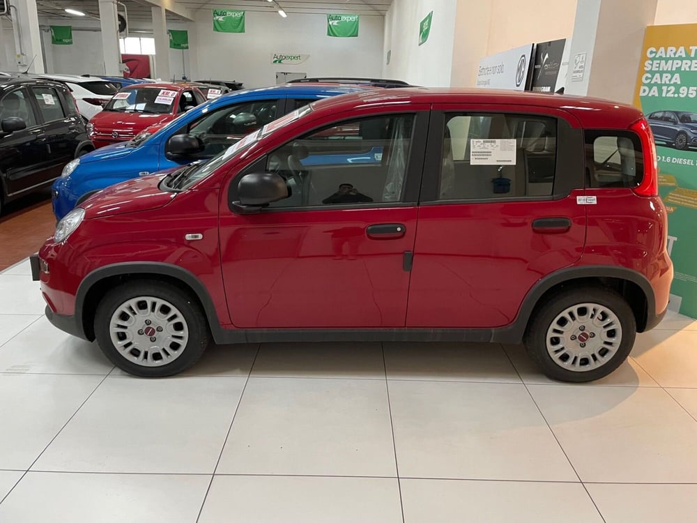 Fiat Panda Cross nuova a Lucca (3)