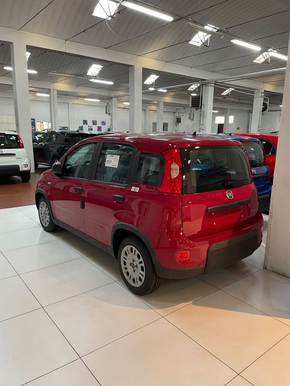 Fiat Panda Cross nuova a Lucca (4)