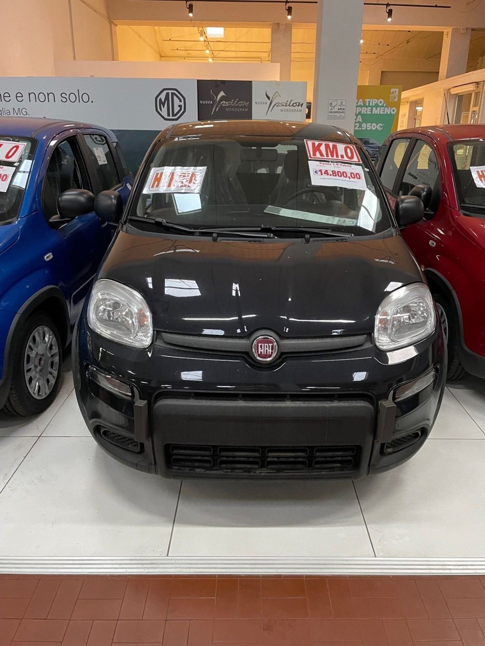 Fiat Panda Cross nuova a Lucca (2)