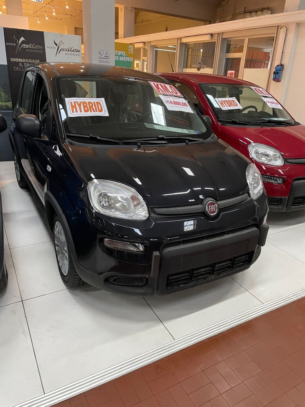 Fiat Panda Cross nuova a Lucca (3)