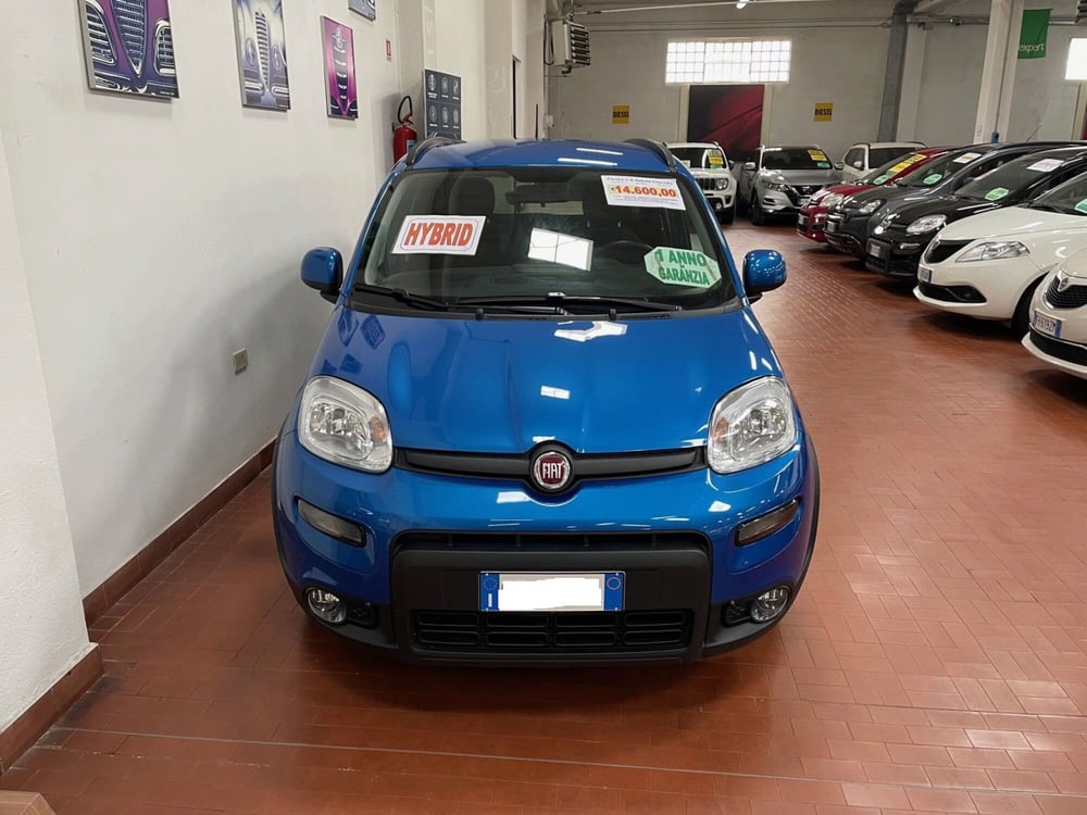 Fiat Panda Cross usata a Lucca (2)